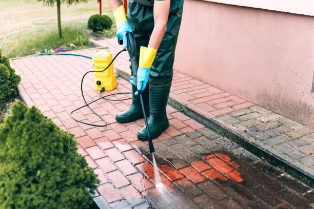 Best Warehouse Cleaning  in North Alamo, TX