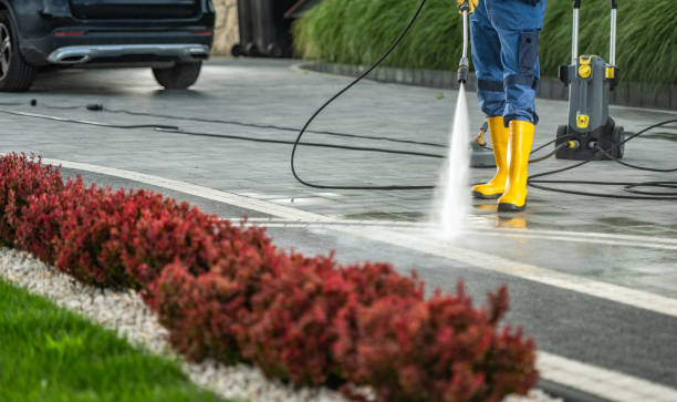 Best Driveway Pressure Washing  in North Alamo, TX